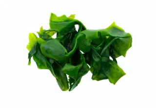 algues wakame