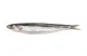 anchois
