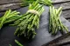 asperges vertes