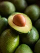 avocats