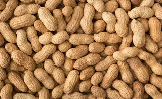 cacahuètes non salées