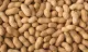 cacahuètes non salées