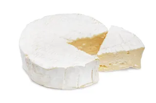camembert