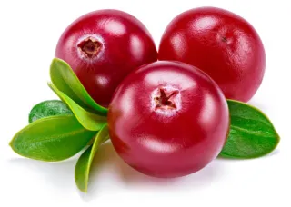 canneberges