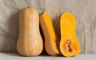 courge