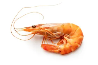 crevettes