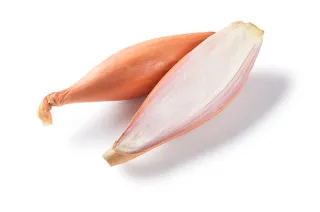 échalote