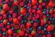 fruits rouges