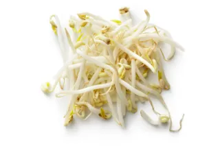 germes de soja