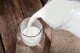 lait entier
