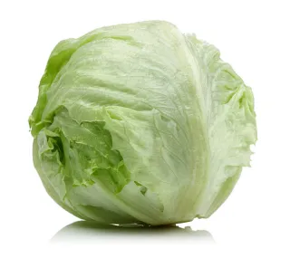 laitue iceberg