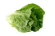laitue romaine