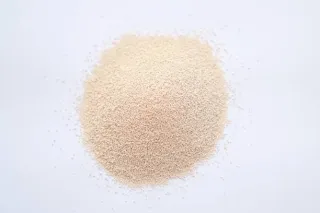 levure nutritionnelle