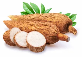 manioc pelé