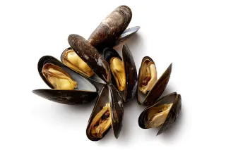 moules