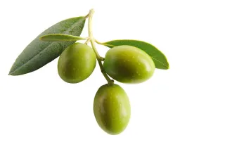 olives vertes
