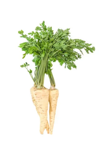 panais