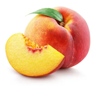 pêche