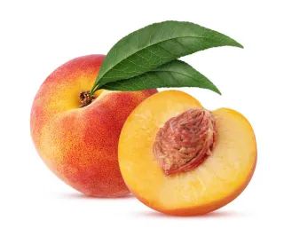 pêches