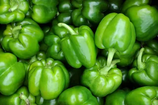 poivrons verts