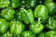 poivrons verts