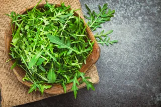 roquette