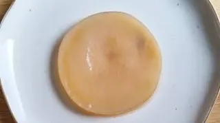 SCOBY (champignon kombucha)