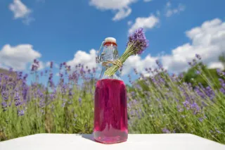 sirop de lavande