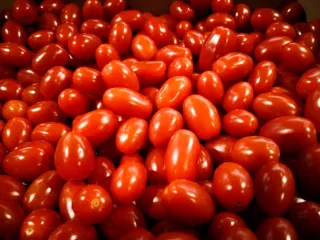 tomates cerises