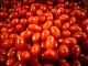 tomates cerises