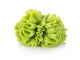 wasabi