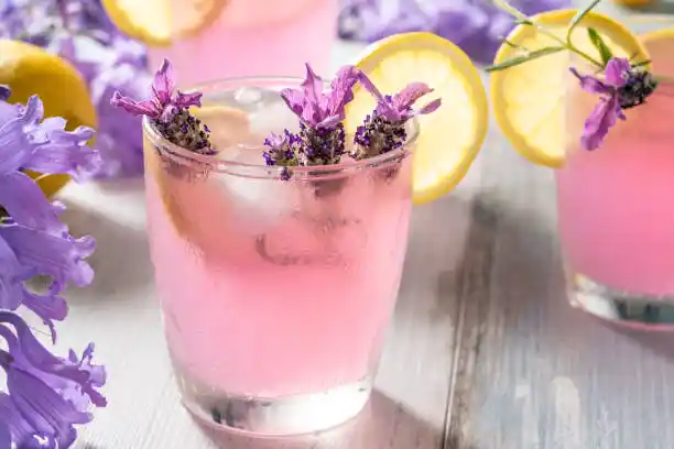 Limonade à la lavande